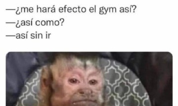 @memes_random._
