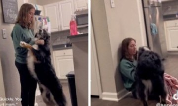Una joven compartió cómo su perro la asistió cuando ella estaba sufriendo un ataque de taquicardia