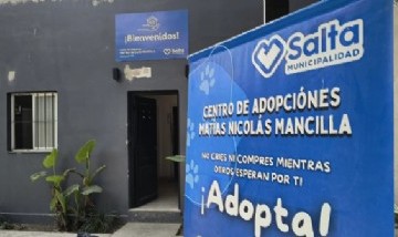 En Salta armaron figuritas estilo Mundial para impulsar la adopción de 25 perros rescatados