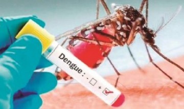 En medio del coronavirus confirmaron el mayor registro de casos de dengue en la historia