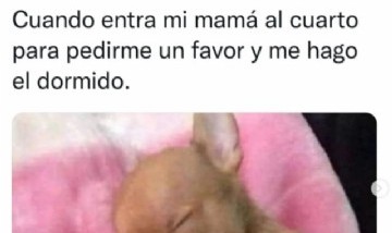 @memes_divertidoss