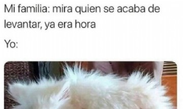 @memes_random._