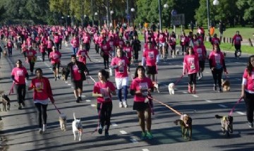 Se viene una nueva DogRun, donde los perros corren carreras con sus dueños