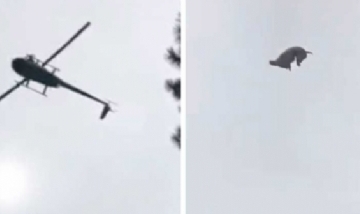 Polémica por el animal lanzado desde un helicóptero hacia una pileta