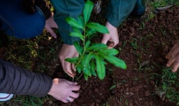 La provincia de Misiones tendrá por ley una Ecoescuela única en el país