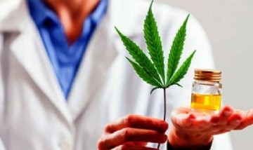 Cannabis: la ONU reconoció oficialmente sus propiedades medicinales