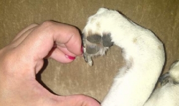 Soledad y Lola. La Plata, Buenos Aires.