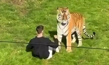 Identificaron al joven que murió atacado por un tigre en un zoológico y revelaron cómo ingresó al recinto