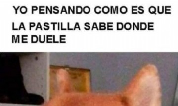 @memes_random._