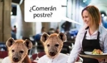 @memes_divertidoss