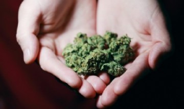 Fibromialgia y el uso de cannabis como posible tratamiento en tiempos de pandemia
