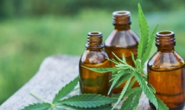 Hurlingham va por la producción de cannabis medicinal