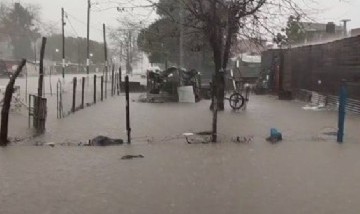 La Universidad Nacional de La Plata lanzó una colecta para ayudar a las familias inundadas