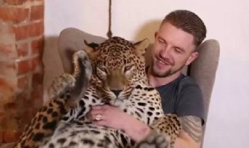 Un leopardo se enfermó de tristeza por la renuncia de cuidador y él decidió adoptarlo