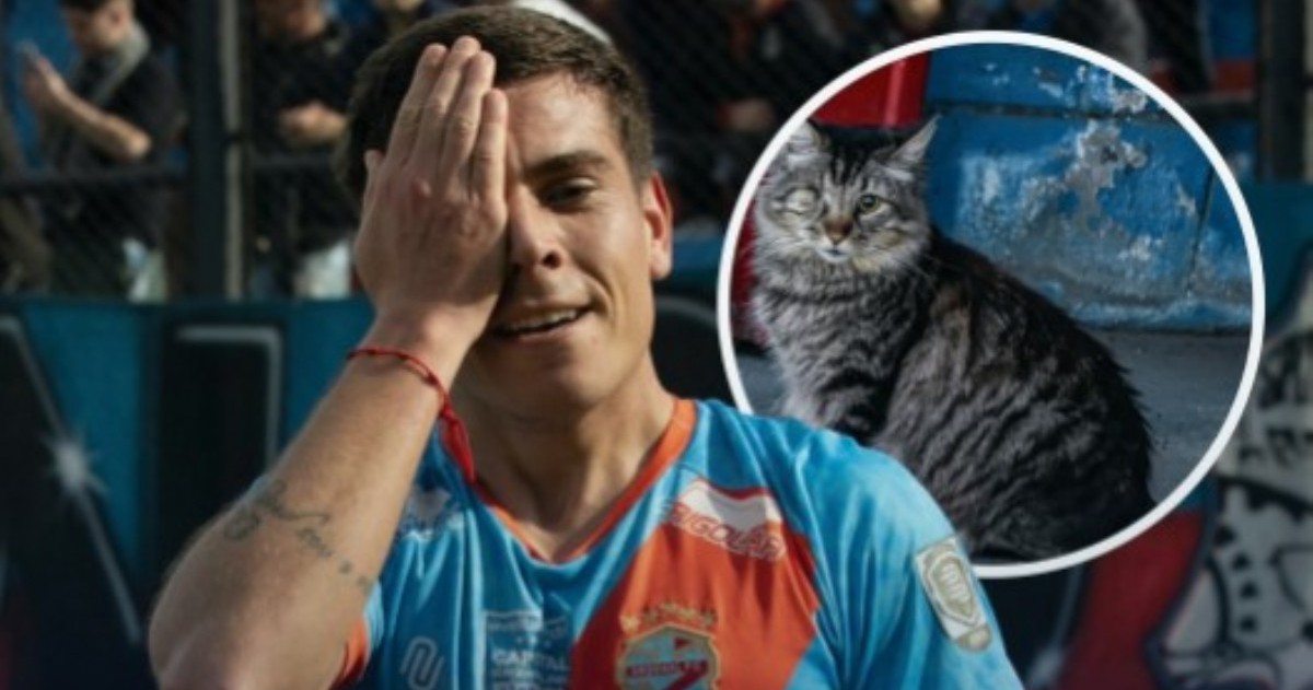 Ivó Kestler cumplió frente a todos la promesa que había hecho tras la muerte de “Tuertito”, el gato que acompañaba desde hacía años la vida cotidiana de Arsenal de Sarandí.