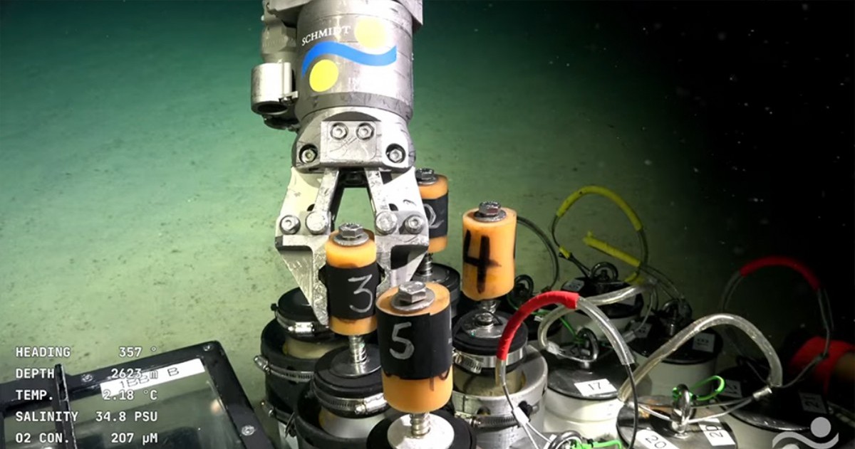 Alumnos de la Escuela número 16 participarán este viernes de una videollamada educativa con investigadores del CONICET y el Schmidt Ocean Institute, que exploran el Cañón Submarino frente a Mar del Plata.