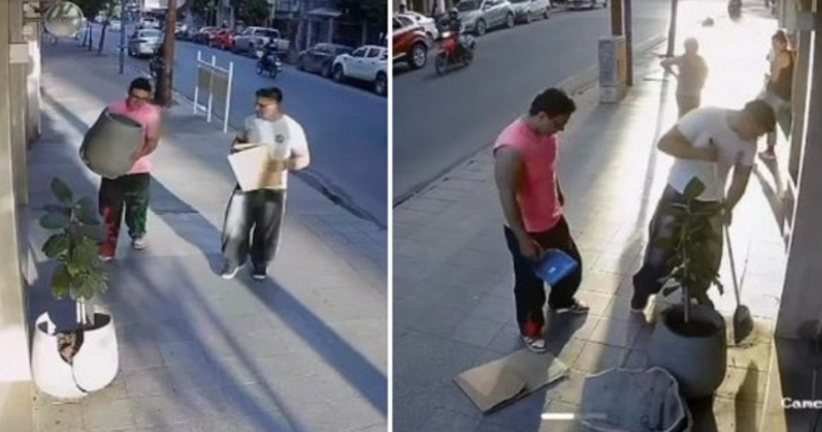 Los jóvenes regresaron al local Salutare después de haber provocado daños en el ingreso y repararon lo que habían roto.