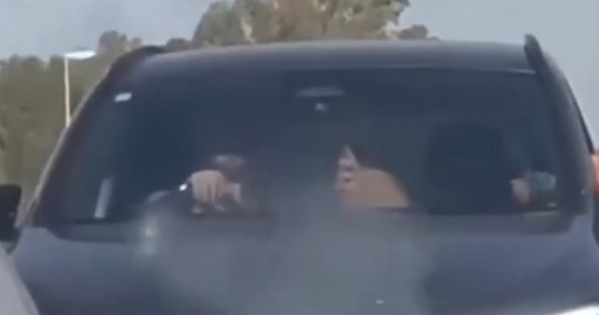 La Guardia Civil de España localizó a los dos turistas tras analizar el video y les aplicó multas por las infracciones cometidas mientras circulaban por la autopista.