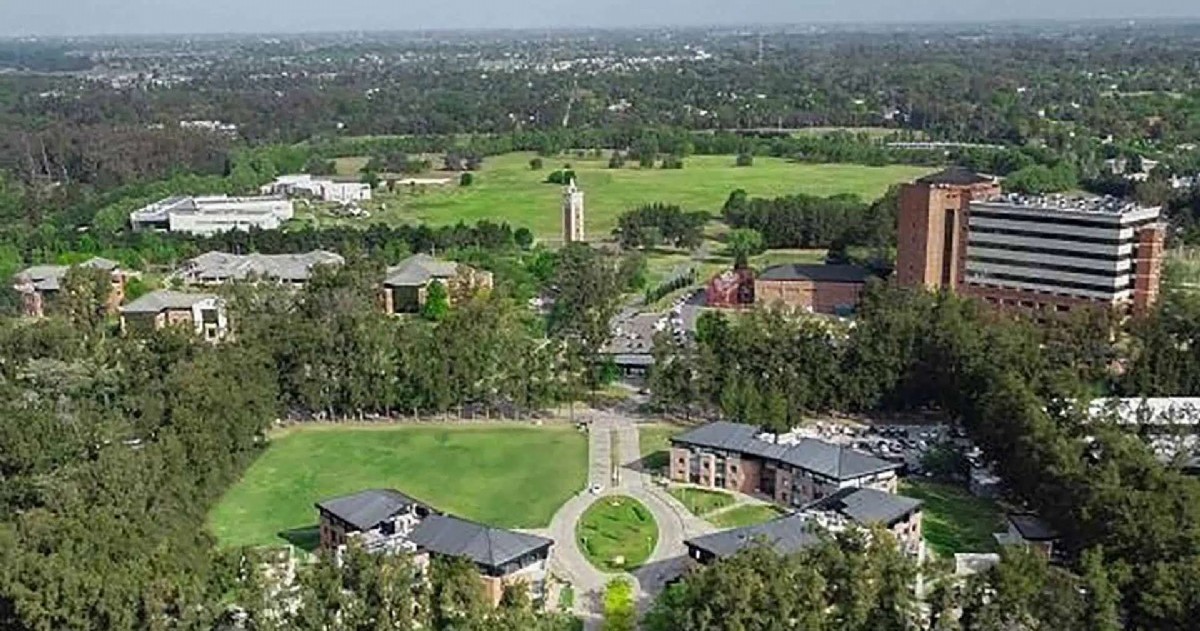 Desarrollado por la psicóloga Belén Mesurado, investigadora del CONICET y directora de Psicología en la Universidad Austral, el proyecto demuestra que las nuevas tecnologías pueden fomentar valores morales y conductas prosociales desde la infancia.