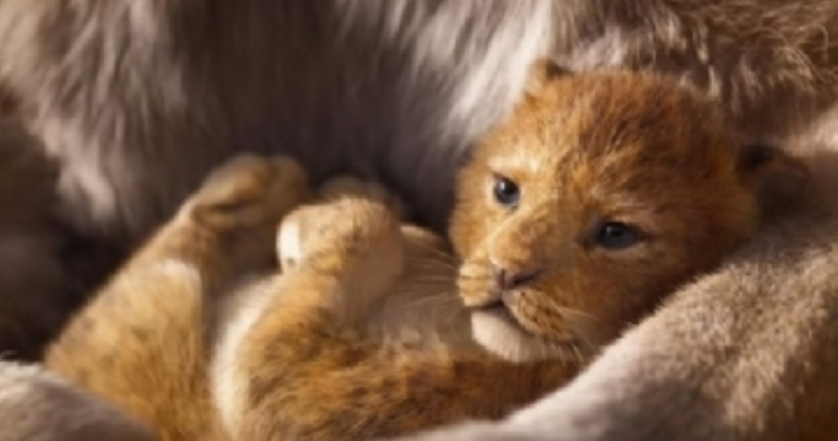 EL REY LEÓN.

¿De qué va? Se trata de la versión 