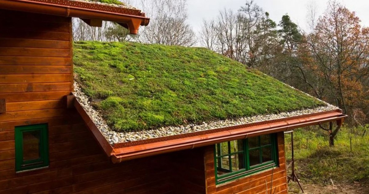 Después de capacitarse sobre arquitectura bioclimática, estudiantes de la especialidad en Madera y Mueble llevarán adelante un proyecto de techo verde sobre una edificación existente de su propia escuela.
