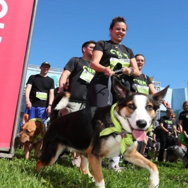 Caninata Funes 2026: familias y mascotas volverán a recorrer la ciudad