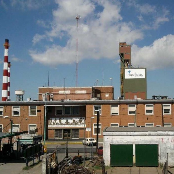 La histórica Rigolleau echó a 100 trabajadores, frenó producción y reemplaza vajilla local con importaciones de China